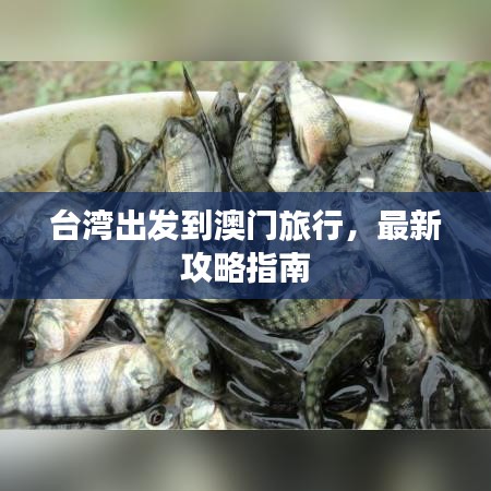 勞燕分飛 第3頁