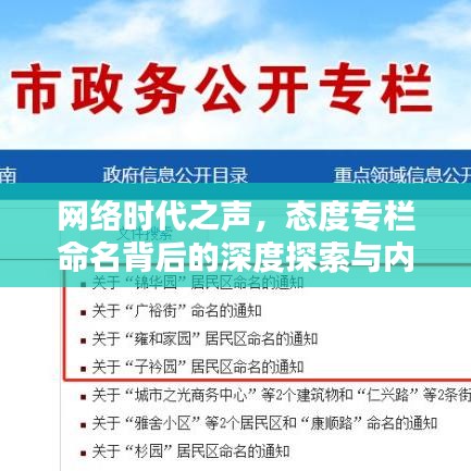 網(wǎng)絡(luò)時(shí)代之聲，態(tài)度專欄命名背后的深度探索與內(nèi)涵解析