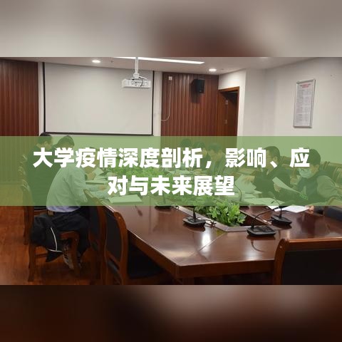 大學(xué)疫情深度剖析，影響、應(yīng)對(duì)與未來(lái)展望