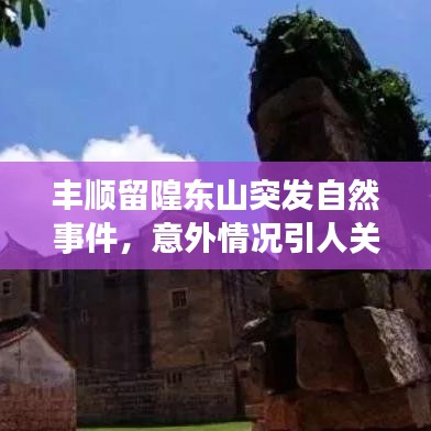 豐順留隍東山突發(fā)自然事件，意外情況引人關(guān)注