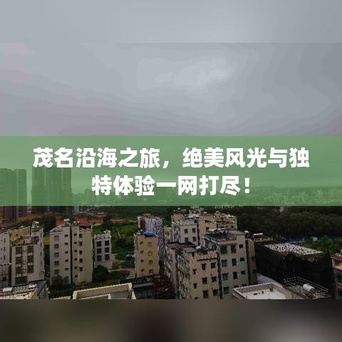 茂名沿海之旅，絕美風(fēng)光與獨特體驗一網(wǎng)打盡！