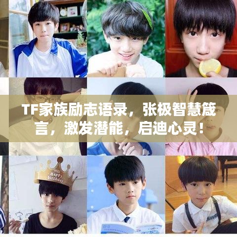 TF家族勵志語錄，張極智慧箴言，激發(fā)潛能，啟迪心靈！