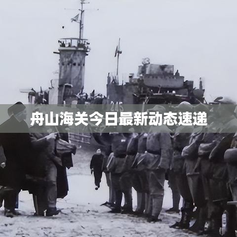 舟山海關(guān)今日最新動態(tài)速遞