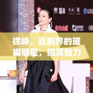 徐崢，喜劇界的璀璨明星，搞笑魅力引爆全網(wǎng)！