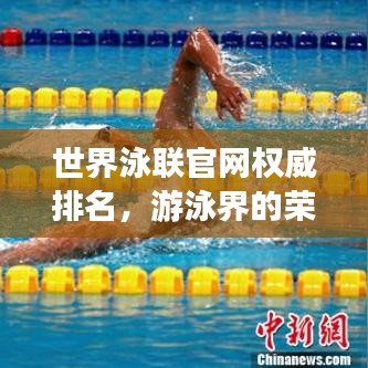 世界泳聯(lián)官網(wǎng)權威排名，游泳界的榮耀榜單，榮譽盡在其中！