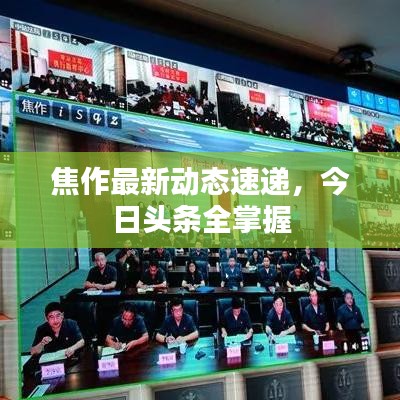 焦作最新動(dòng)態(tài)速遞，今日頭條全掌握