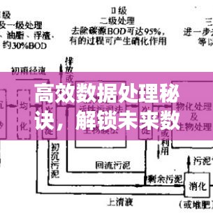 高效數(shù)據(jù)處理秘訣，解鎖未來數(shù)據(jù)處理的關(guān)鍵技術(shù)！
