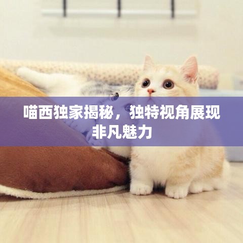 傷弓之鳥(niǎo) 第3頁(yè)