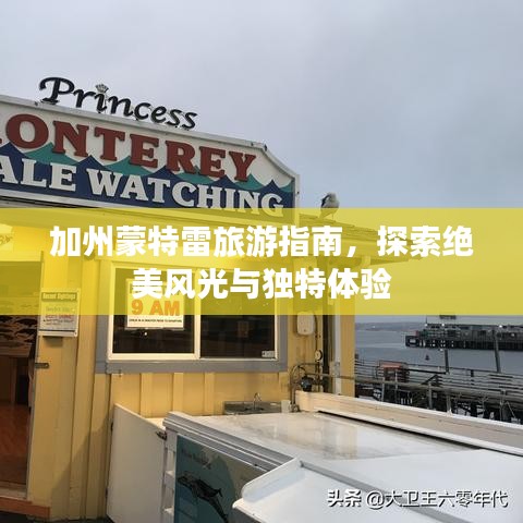 加州蒙特雷旅游指南，探索絕美風(fēng)光與獨(dú)特體驗(yàn)
