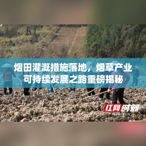 溫文爾雅 第2頁