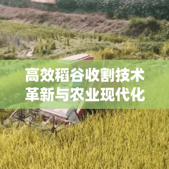 草創(chuàng)未就 第2頁
