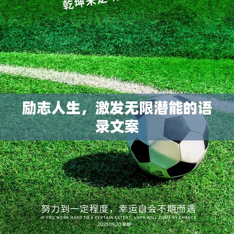 勵志人生，激發(fā)無限潛能的語錄文案