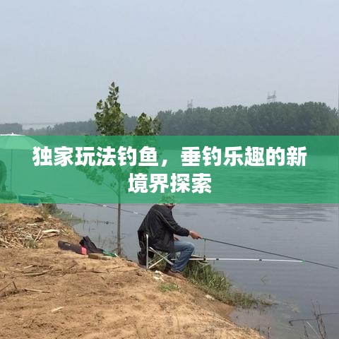 獨(dú)家玩法釣魚(yú)，垂釣樂(lè)趣的新境界探索