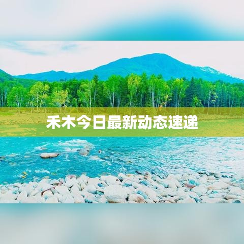 禾木今日最新動態(tài)速遞
