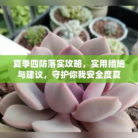 夏季四防落實攻略，實用措施與建議，守護你我安全度夏