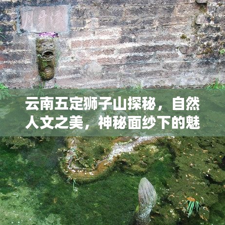 云南五定獅子山探秘，自然人文之美，神秘面紗下的魅力之旅