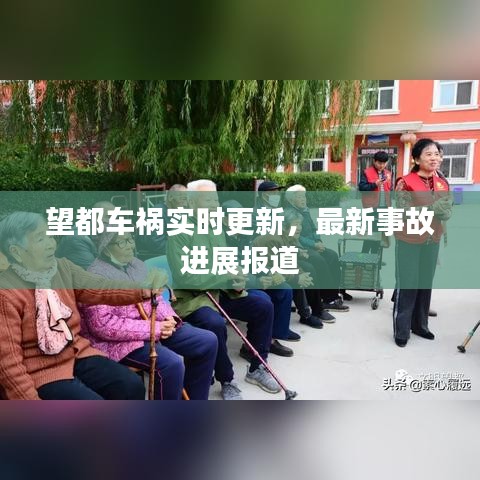 望都車禍實時更新，最新事故進展報道