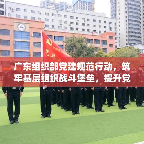 廣東組織部黨建規(guī)范行動，筑牢基層組織戰(zhàn)斗堡壘，提升黨建引領力