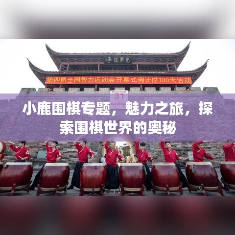 小鹿圍棋專題，魅力之旅，探索圍棋世界的奧秘