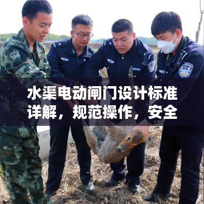 水渠電動閘門設(shè)計標(biāo)準(zhǔn)詳解，規(guī)范操作，安全無憂