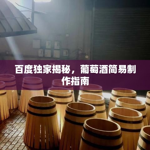 百度獨(dú)家揭秘，葡萄酒簡易制作指南