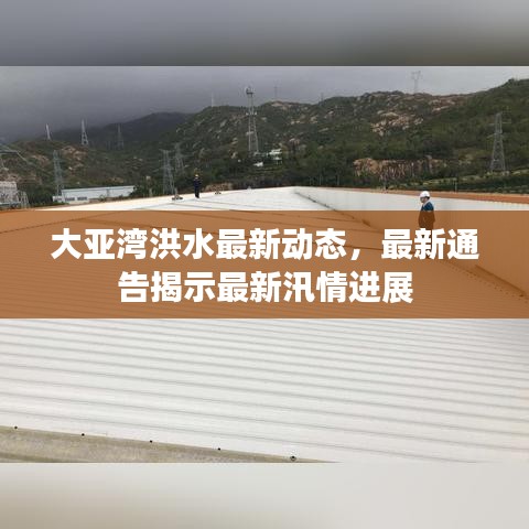 大亞灣洪水最新動態(tài)，最新通告揭示最新汛情進(jìn)展