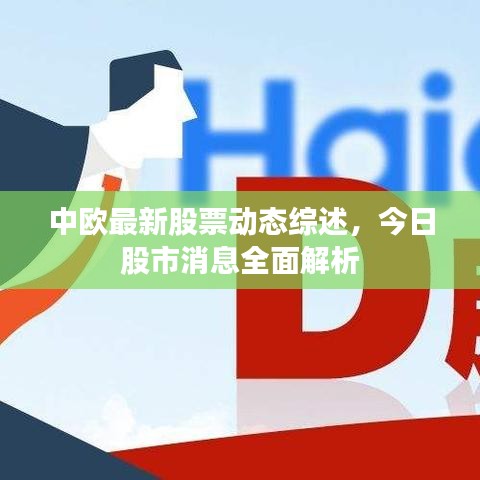中歐最新股票動態(tài)綜述，今日股市消息全面解析