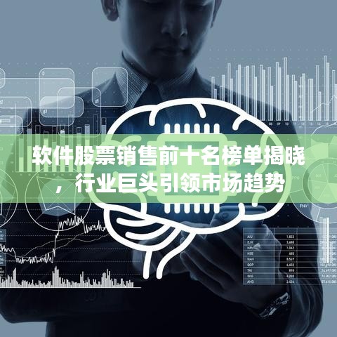 軟件股票銷售前十名榜單揭曉，行業(yè)巨頭引領(lǐng)市場趨勢