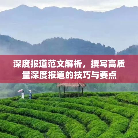 深度報道范文解析，撰寫高質(zhì)量深度報道的技巧與要點