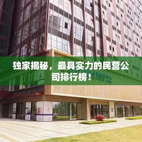 獨家揭秘，最具實力的民營公司排行榜！