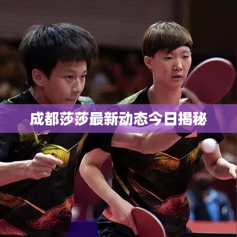 成都莎莎最新動態(tài)今日揭秘