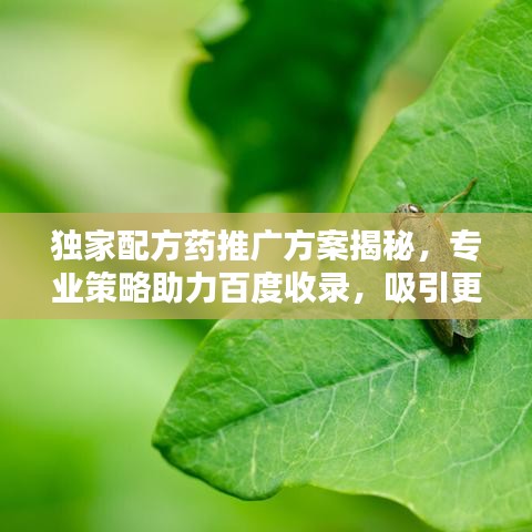 獨家配方藥推廣方案揭秘，專業(yè)策略助力百度收錄，吸引更多目光！