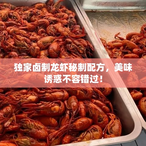 獨家鹵制龍蝦秘制配方，美味誘惑不容錯過！