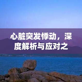 采椽不斫 第3頁