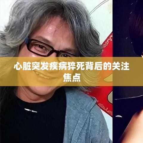 粗制濫造 第2頁
