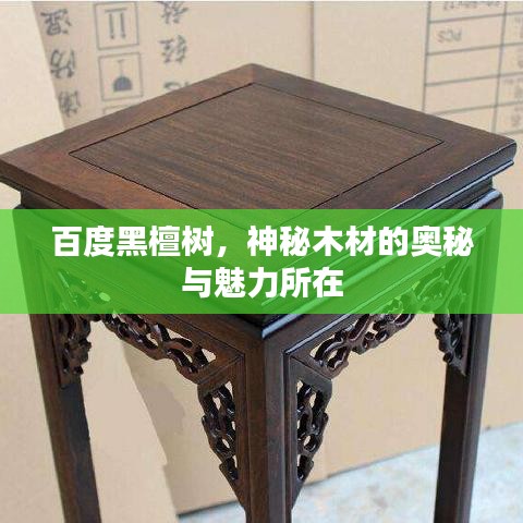 百度黑檀樹，神秘木材的奧秘與魅力所在
