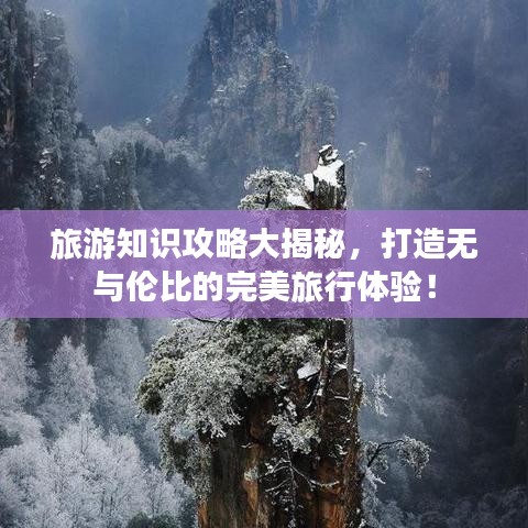 旅游知識攻略大揭秘，打造無與倫比的完美旅行體驗(yàn)！