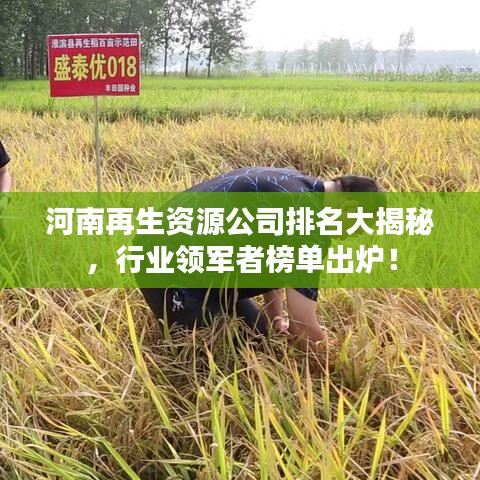 河南再生資源公司排名大揭秘，行業(yè)領軍者榜單出爐！