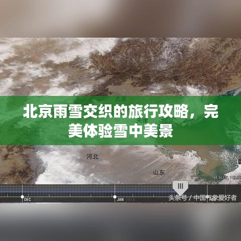 懸駝就石 第2頁(yè)
