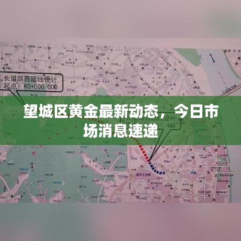 望城區(qū)黃金最新動態(tài)，今日市場消息速遞