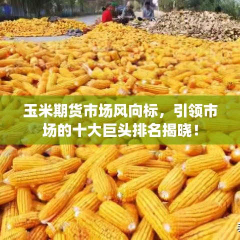 玉米期貨市場風向標，引領(lǐng)市場的十大巨頭排名揭曉！