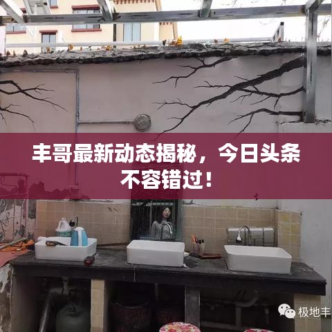 豐哥最新動(dòng)態(tài)揭秘，今日頭條不容錯(cuò)過！