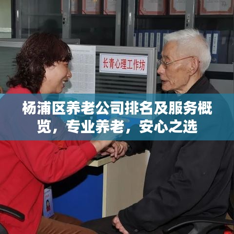 楊浦區(qū)養(yǎng)老公司排名及服務(wù)概覽，專業(yè)養(yǎng)老，安心之選