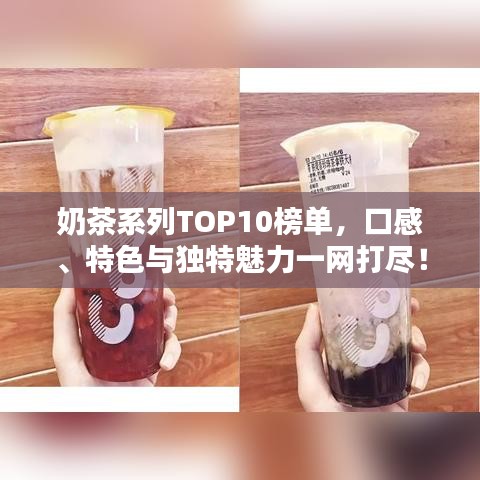 奶茶系列TOP10榜單，口感、特色與獨(dú)特魅力一網(wǎng)打盡！