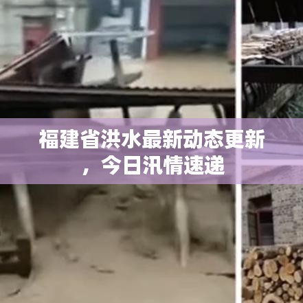 福建省洪水最新動態(tài)更新，今日汛情速遞