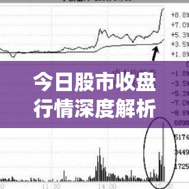 今日股市收盤行情深度解析，最新股票走勢(shì)分析