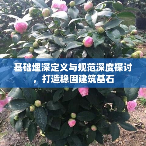 慌慌張張 第2頁