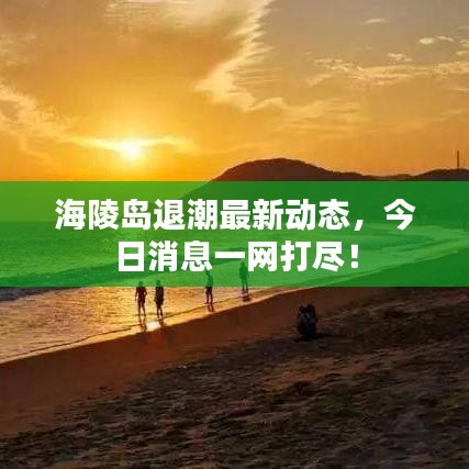 海陵島退潮最新動態(tài)，今日消息一網(wǎng)打盡！