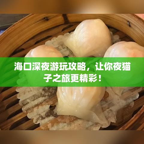 ?？谏钜褂瓮婀ヂ?，讓你夜貓子之旅更精彩！