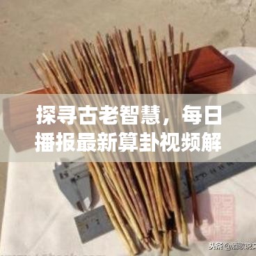 探尋古老智慧，每日播報最新算卦視頻解讀現(xiàn)代生活